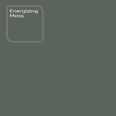 an image of a book cover with the title energizing moss