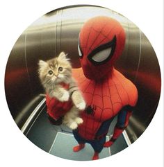 a kitten is standing next to a spider man