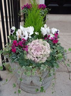 a potted planter filled with purple and white flowers