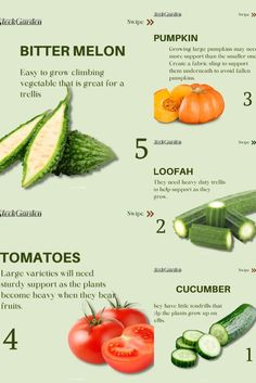 the health benefits of cucumbers are shown in this chart, which shows how to eat them