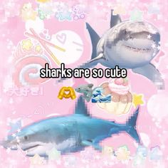 sharks are so cute with the caption's in japanese and english on pink background