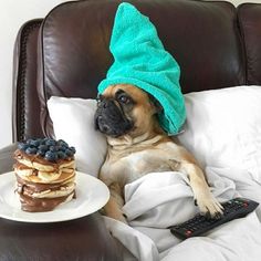 a dog with a towel on its head sitting in a chair next to a stack of pancakes