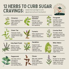 the 12 herbs to curb sugar