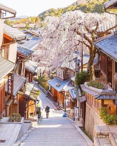 people walking down an alley with cherry blossoms on the trees in bloom and buildings lining both sides