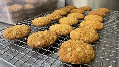 muffins cooling on a wire rack in a bakery oven next to a container of cookies