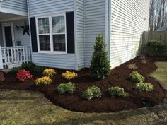 landscaping in front of a house with flowers and shrubs