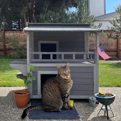 a cat sitting on top of a mat in front of a dog house