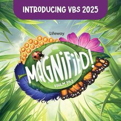 an image of a book cover with the words magnifidi and butterflies on it