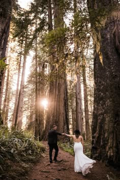 a bride and groom walking through the woods together in front of tall trees at their wedding