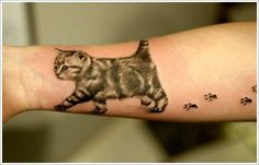 a cat with paw prints on it's arm