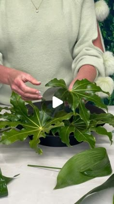 a woman is cutting up some plants on a table with scissors and other things around her