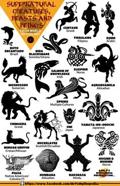 an image of the different types of animals and their names in black on white paper