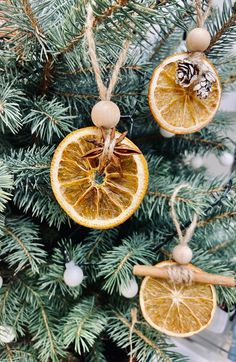 two orange slices hanging from a christmas tree