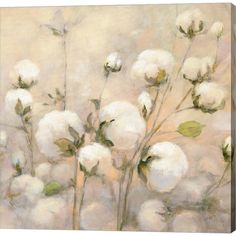 a painting of white cotton flowers on a beige background