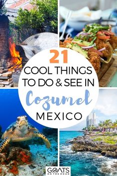 collage of images with the words cool things to do and see in cozumel mexico