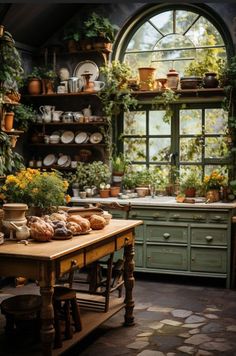 an old fashioned kitchen with lots of potted plants