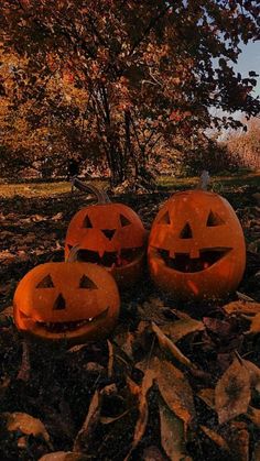 three carved pumpkins sitting on the ground in front of a tree with leaves around them