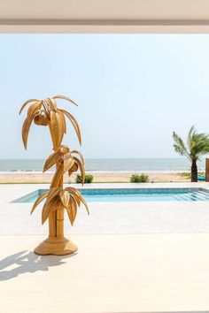 a palm tree sitting on top of a wooden table next to a pool and beach