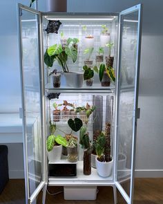 a glass case filled with lots of different types of plants