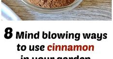 cinnamon powder in a glass bowl with the words 8 mind blowing ways to use cinnamon in your garden