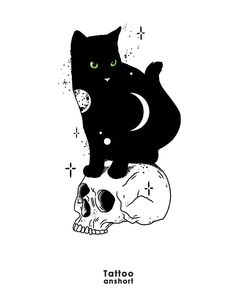 a black cat sitting on top of a skull