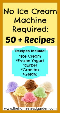 the ice cream machine required 50 + recipes