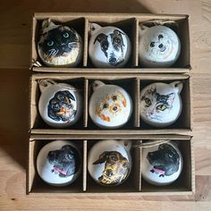 six ceramic ornaments with cats and dogs painted on them in a cardboard box sitting on a wooden floor