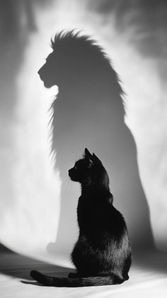 a cat sitting in front of a shadow of a lion