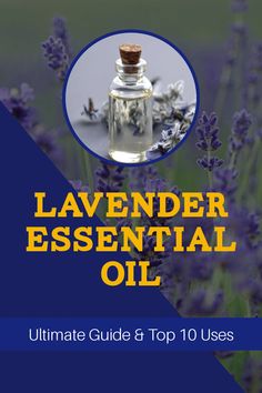 This lavender essential oil guide from Pure Family Essentials is the ultimate list for using lavender in many different ways! | lavender diffuser blends | uses for lavender essential oil | guide to using lavender essential oil | lavender essential oil uses Lavender Diffuser Blends, Barndominium Inspiration, Uses For Lavender, Lavender Diffuser, Using Lavender, Essential Oil Brands, List Of Essential Oils