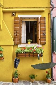 a yellow building with potted plants and an open umbrella in front of the window