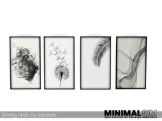 four black and white pictures hanging on the wall next to each other, one with a dandelion