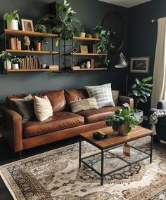 a living room with leather couches and plants on the shelves above them, along with a rug