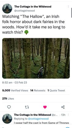 two tweets on twitter with the caption watching the hollow an irish folk horror about dark fairies in the woods how did it take me so long to watch this?