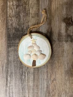 an ornament with seashells hanging on a wooden wall