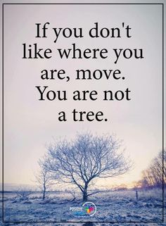 the quote if you don't like where you are, move you are not a tree