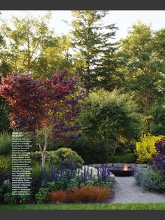 an image of a garden with trees and flowers in the foreground, surrounded by foliage