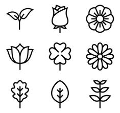 different types of flowers and leaves