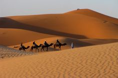 three people are riding camels in the desert