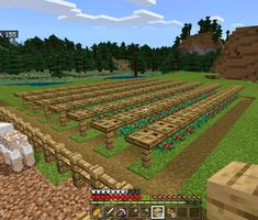 an image of a farm in minecraft