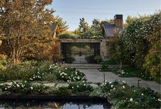 an outdoor garden with white flowers and trees