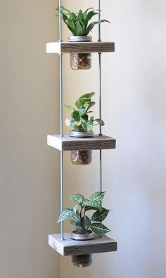 three tiered planter with two plants on the top and one in the bottom