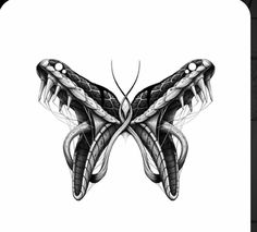 a black and white drawing of a butterfly with wings spread out, on a white background