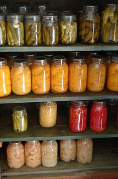 66 Self Sufficiency Survival Books About by HowToBooks on Etsy, $4.97 Canned Food Storage, Long Term Food Storage, Fermented Vegetables, Home Canning, Emergency Food, Pressure Canning, Food Supply, Survival Food, After Life