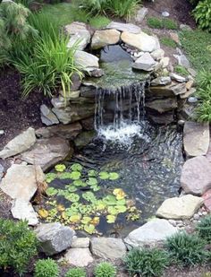 a small pond surrounded by rocks and water lilies