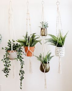 several hanging planters with plants in them on the wall next to a white wall