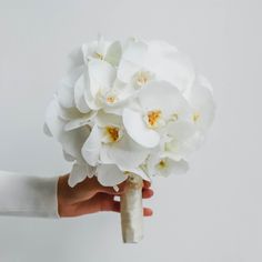 a person holding a bouquet of white flowers