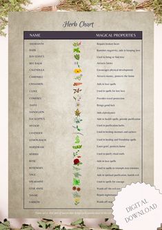 An illustrated list of herbs with their magical properties, commonly used by witches for potions, spells, and rituals.  Bundle includes: 2 herb lists with properties (Printable pages of different designs to suit your needs)  3 pages with herb list and designated space for adding your own personal notes and descriptions (Printable pages, all different designs)  You will receive the following: 3 High-Resolution A4 size PDF files (containing all 5 pages) THIS LISTING IS A HIGH-RESOLUTION DIGITAL FILE FOR INSTANT DOWNLOAD ONLY No physical product will be shipped. KINDLY NOTE: This purchase is for PERSONAL USE ONLY.  You can print the images as many times as you need for personal use. Witches Herbs And Uses, Witchy Herbs And Spices, Witch Herbs List, Witchcraft Herbs Meanings List, Herbs For Karma Spells, Blockbuster Spell Herbs, Magical Herbs And Their Uses, Witchcraft Herbs Meanings, Herbs For Healing Witchcraft