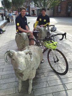 two men riding bikes next to statues of sheep