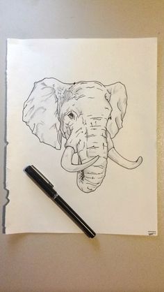 an elephant drawn on paper with a pen