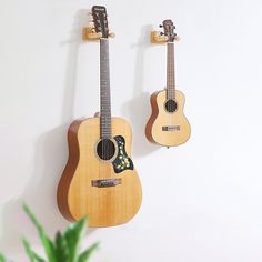 two guitars are hanging on the wall next to a potted plant and a green plant